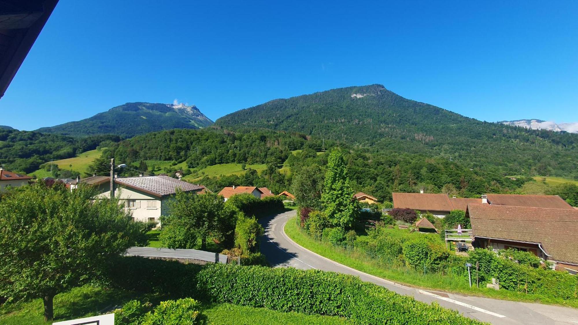 Agreable T3 Entre Lac Et Montagne Seythenex Extérieur photo